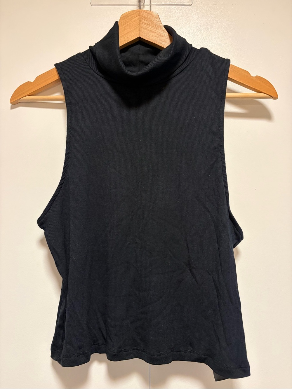 Sunday Best Aritzia Sleeveless Turtleneck Top - Black
